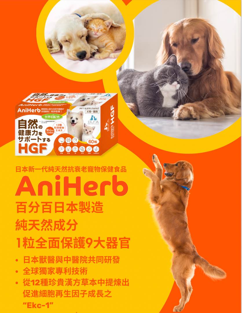 AniHerb Pet Supplement (For Dogs & Cats)