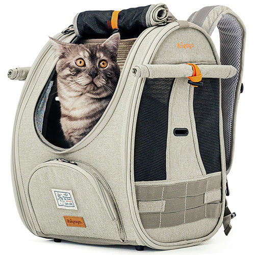 IBIYAYA Cat Backpack