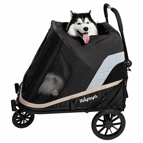 IBIYAYA safe companion stroller for pets of all ages